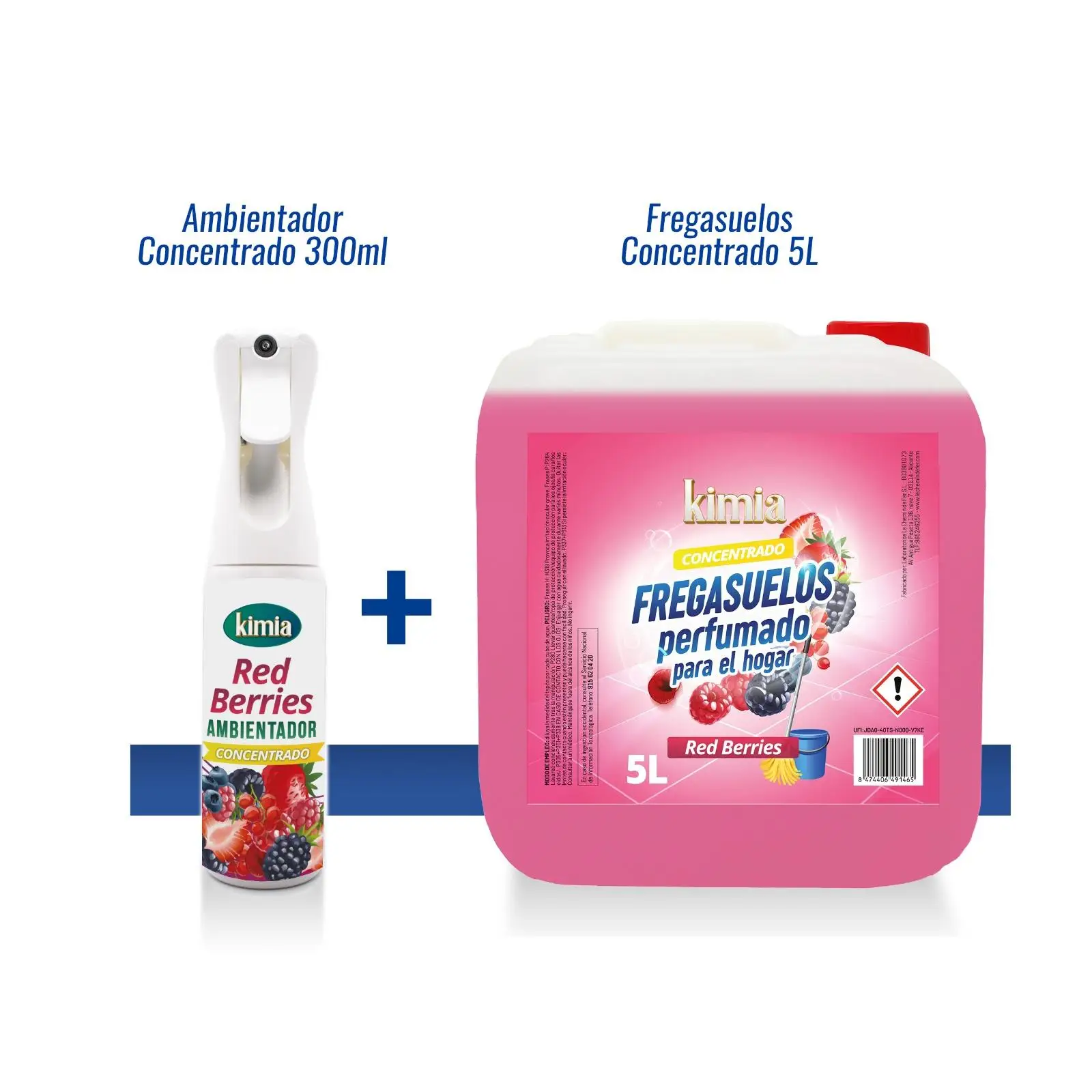 DETERGENTE ESPECIAL LLANTAS Y CARROCERIAS KIMIA  DSM CAR 6Kg