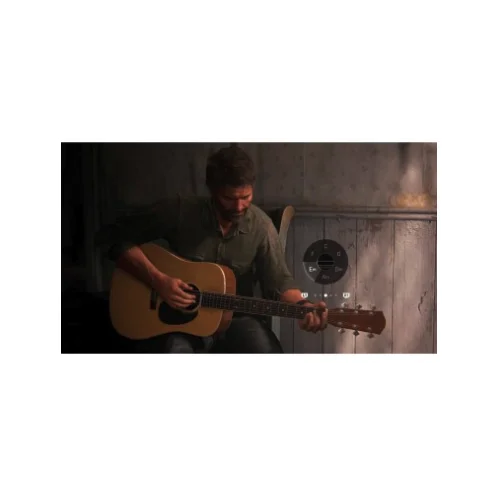 The last of us part ii remastered #2