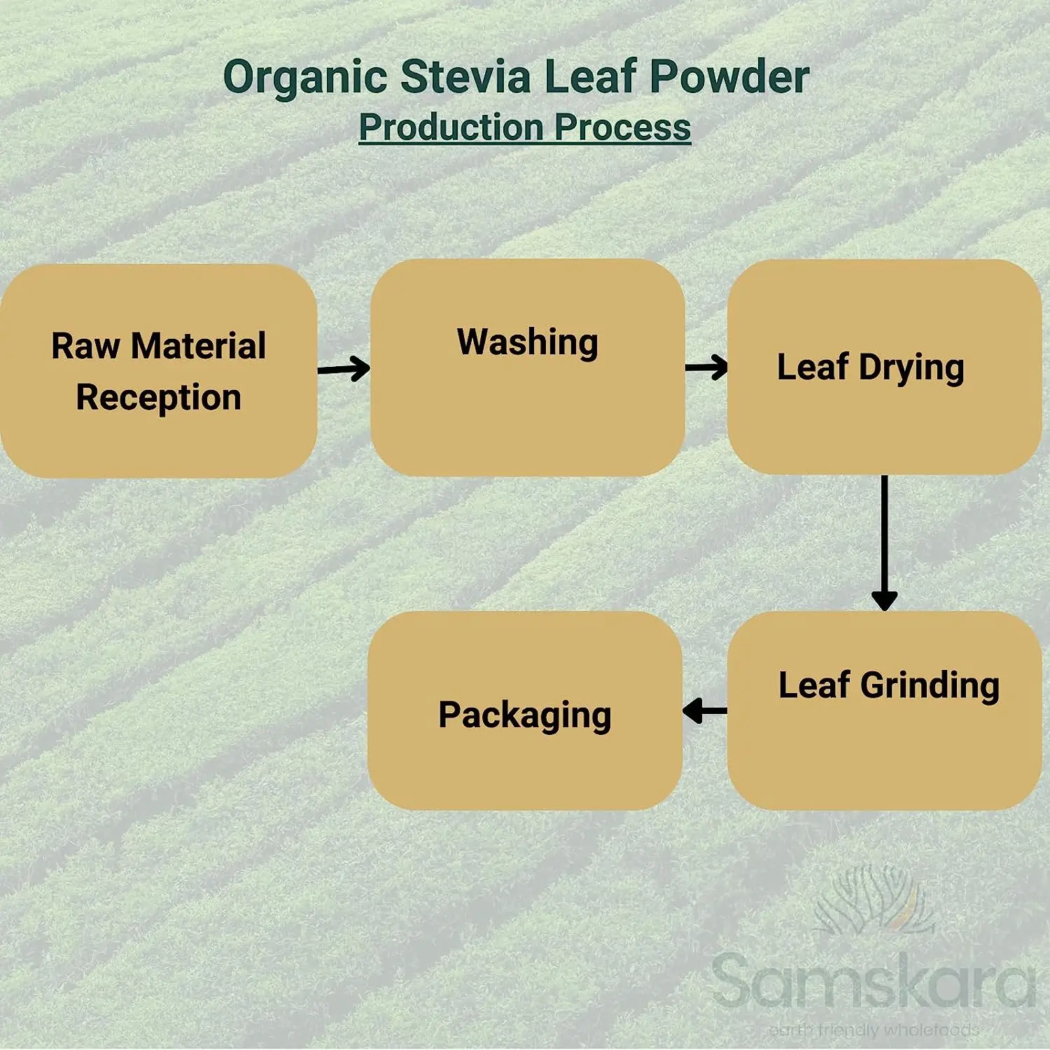 STEVIA leaf powder pure natural ground leaves BIO Organic ketosis + natural sweetener and weight loss 100gr Samskara