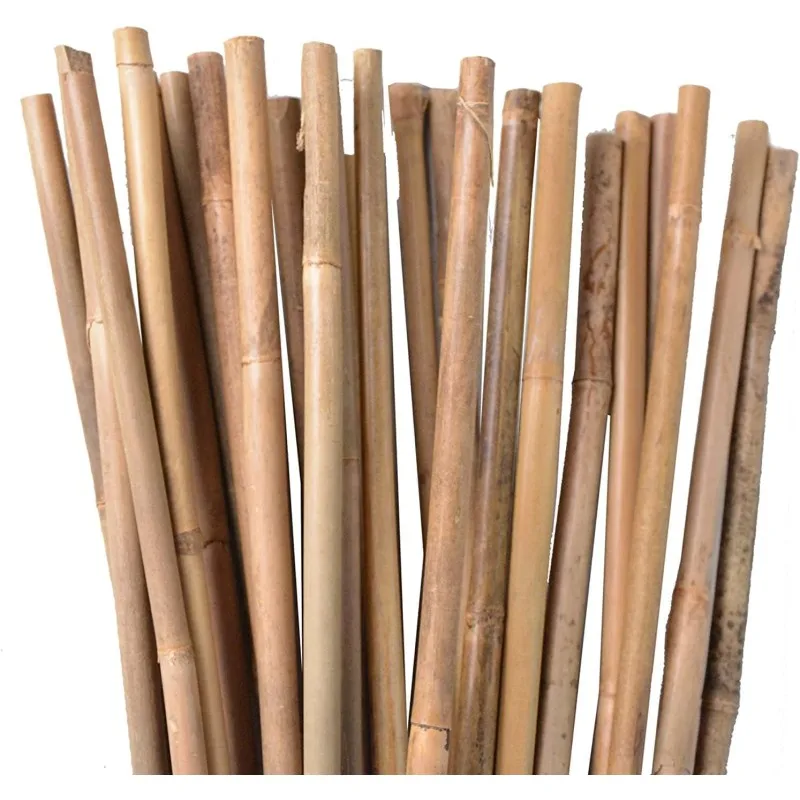 SUINGA Pack 30 Tutor de Bambu 120 cm (10-12 mm) | Varillas de bambu para Plantas y Arboles | Tutores para Tomates y Plantas trepadoras