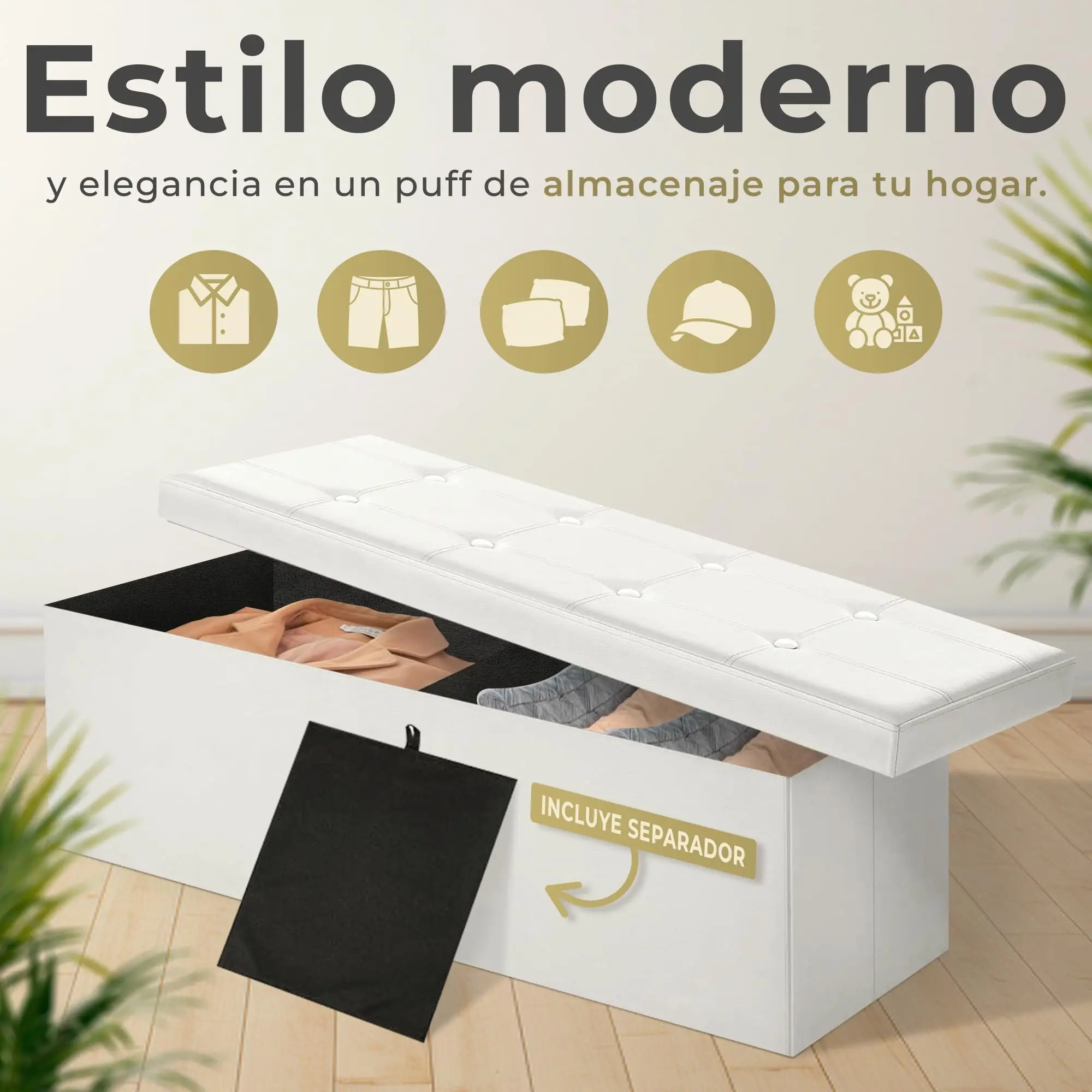Imagen 5