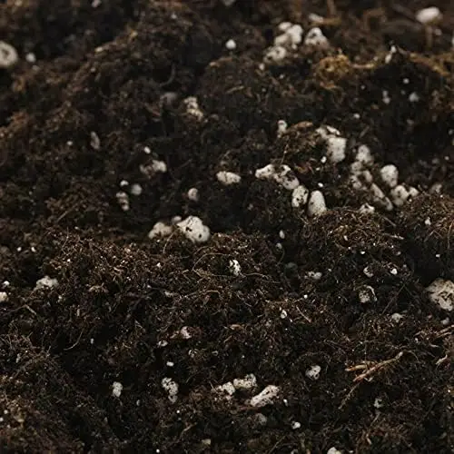 BIOBIZZ LIGHT MIX 50L-indoor and outdoor growing potting soil