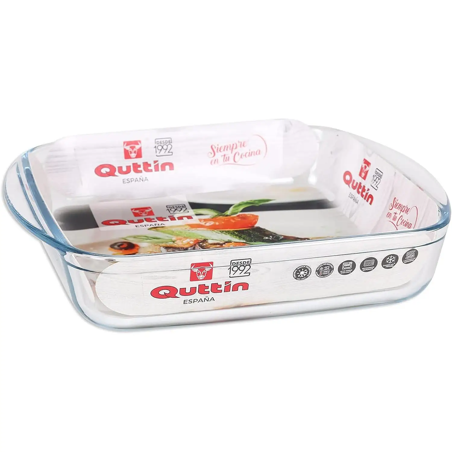 MAXHOME- Fuente de Vidrio para Cocina, Borosilicato Cristal, Rectangular,Cuadrada,Ovalada, Microondas Horno Congelador y Lavavajilla