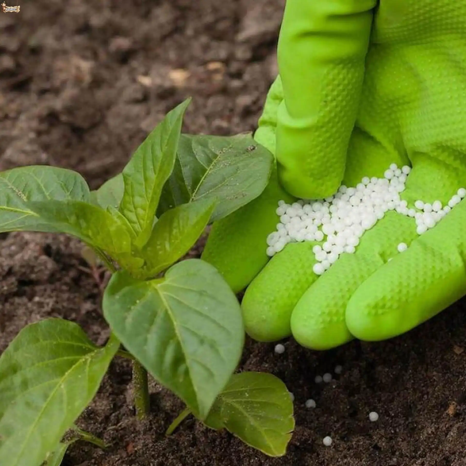 Npk complex fertilizer 15-15-15 bricoloco.com