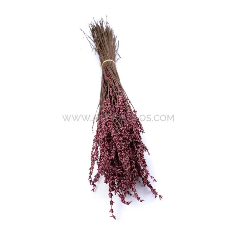 Ramo de Lavanda Preservada Premium con Fragancia Excelente para Decoración Natural de Flores