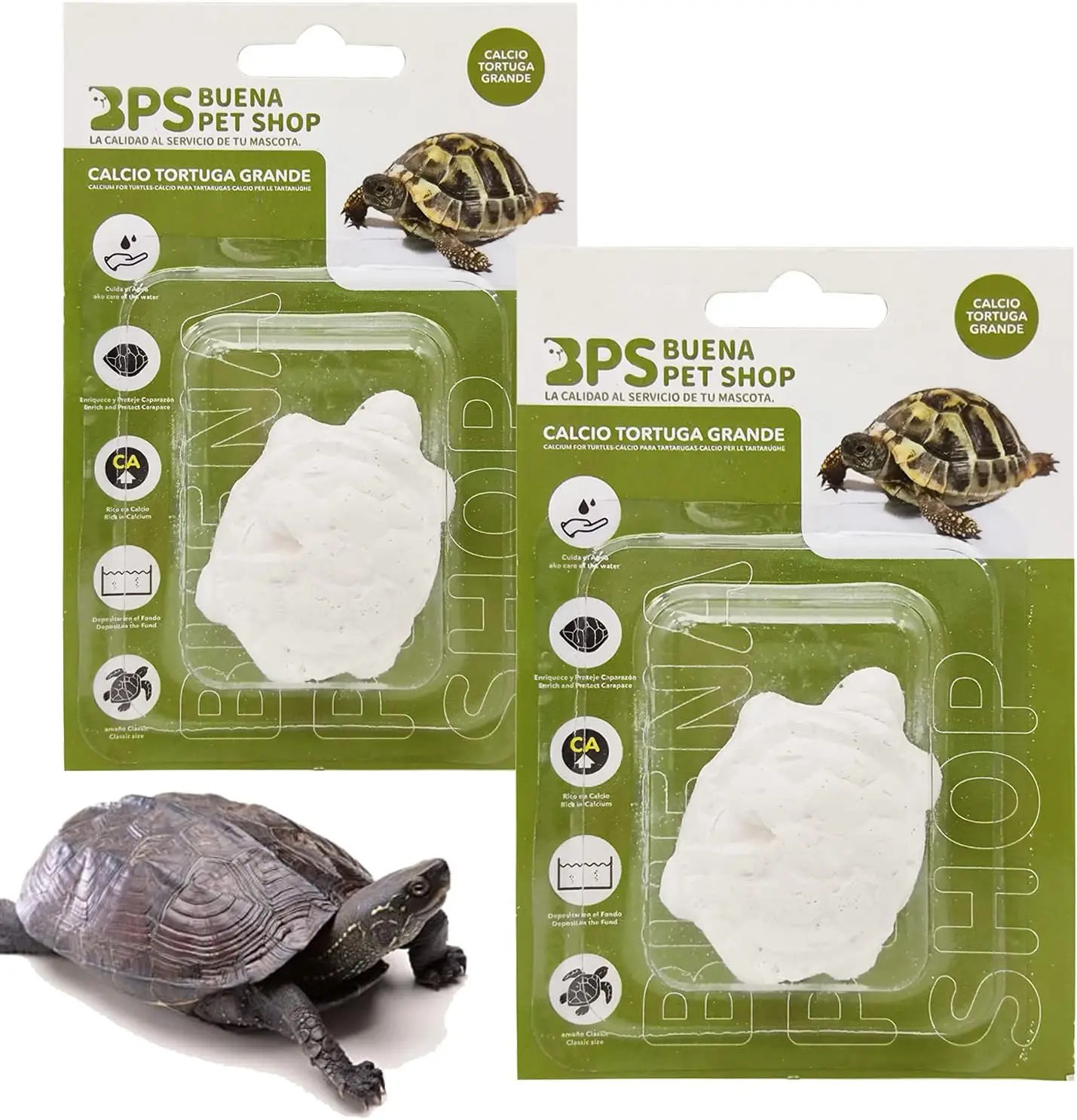 Bps food for Gammarus turtles
