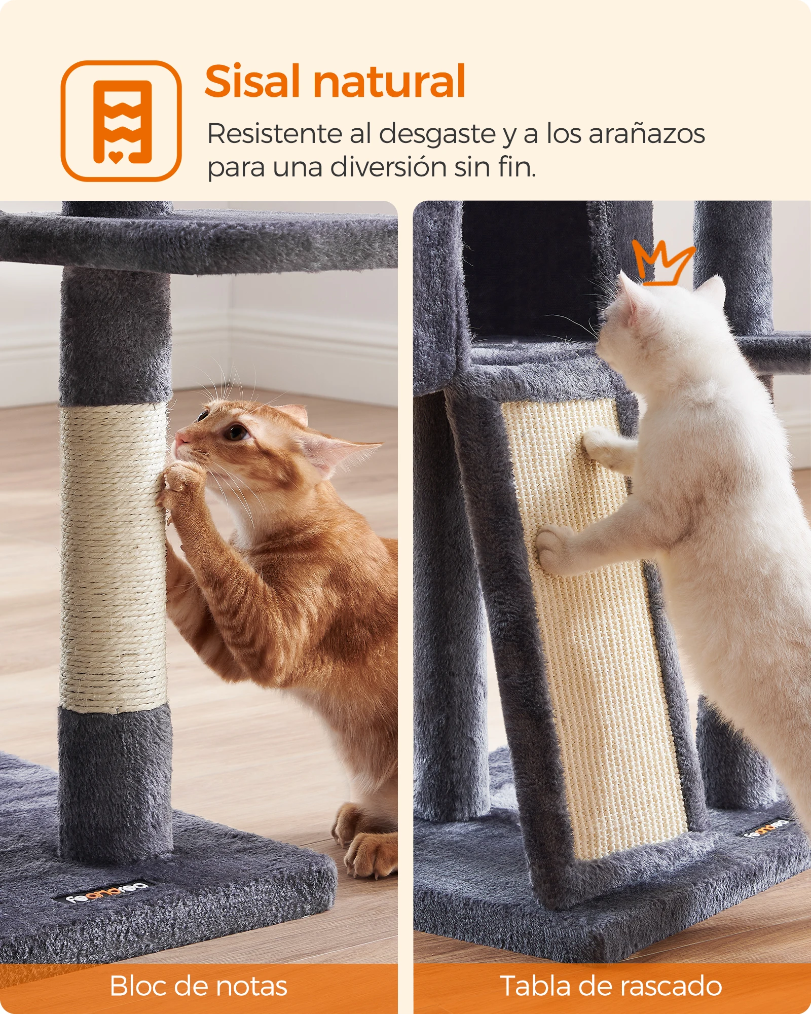 Imagen 8