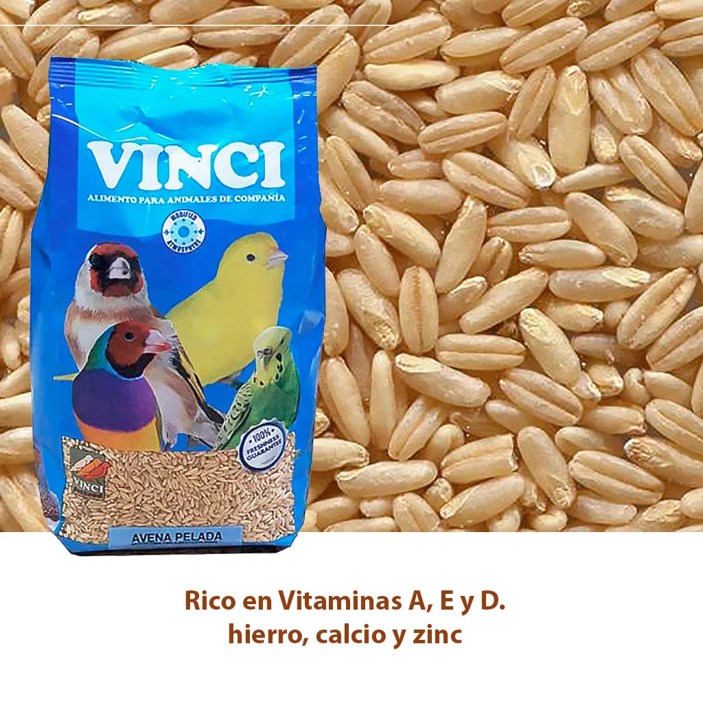 Vinci, Peeled Oats 1kg, 5kg, Seeds for Canaries, Goldfinches and Other Birds