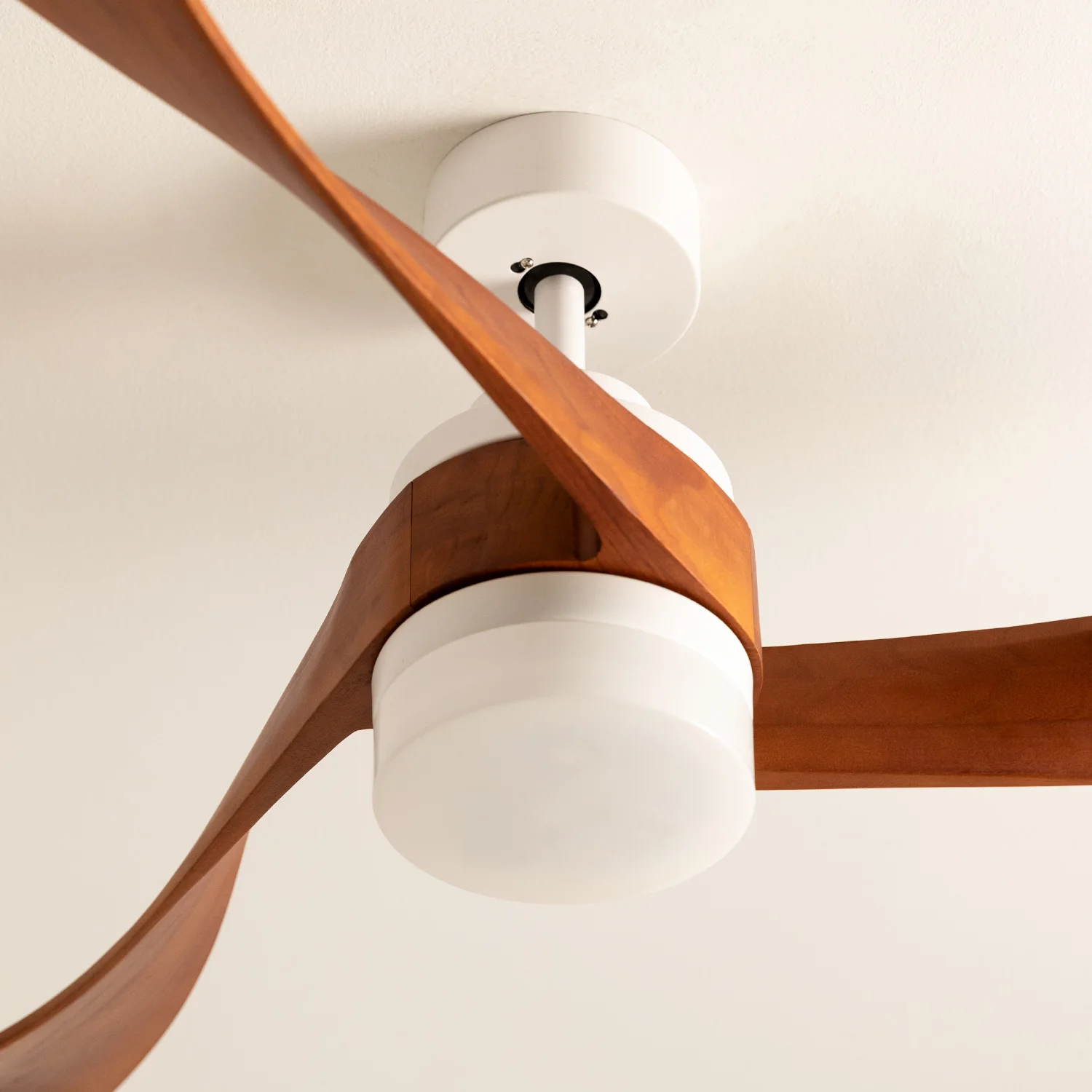 Create Silent DC ceiling fan with Natural wood blades and dimmable light-WIND CURVE