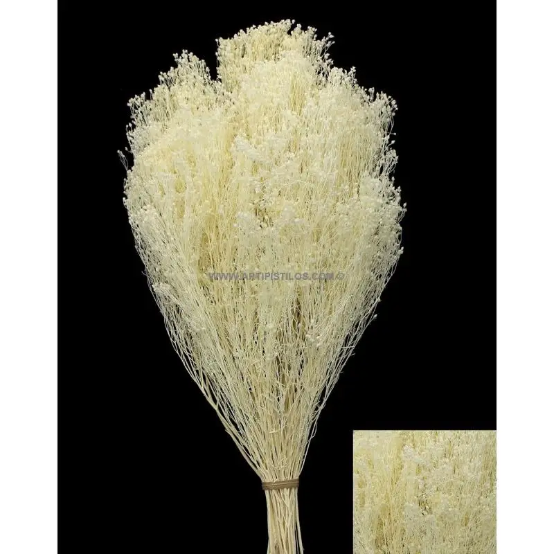 Flor Preservada para Decoración de Tocados y Coronitas - Adornos Florales únicos