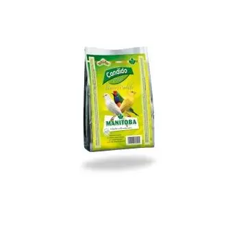 Manitoba white candid morbid paste 3 Kg for birds