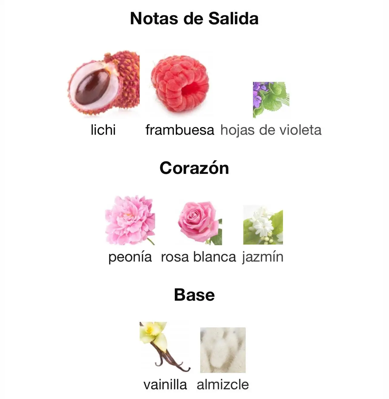 Mayar Lattafa 100 ml - Eau de Parfum, a vibrant perfume with notes of bergamot, lemon, and jasmine, inspired by the essence of the ancient Maya civilization, perfect for women seeking a long-lasting fragrance.