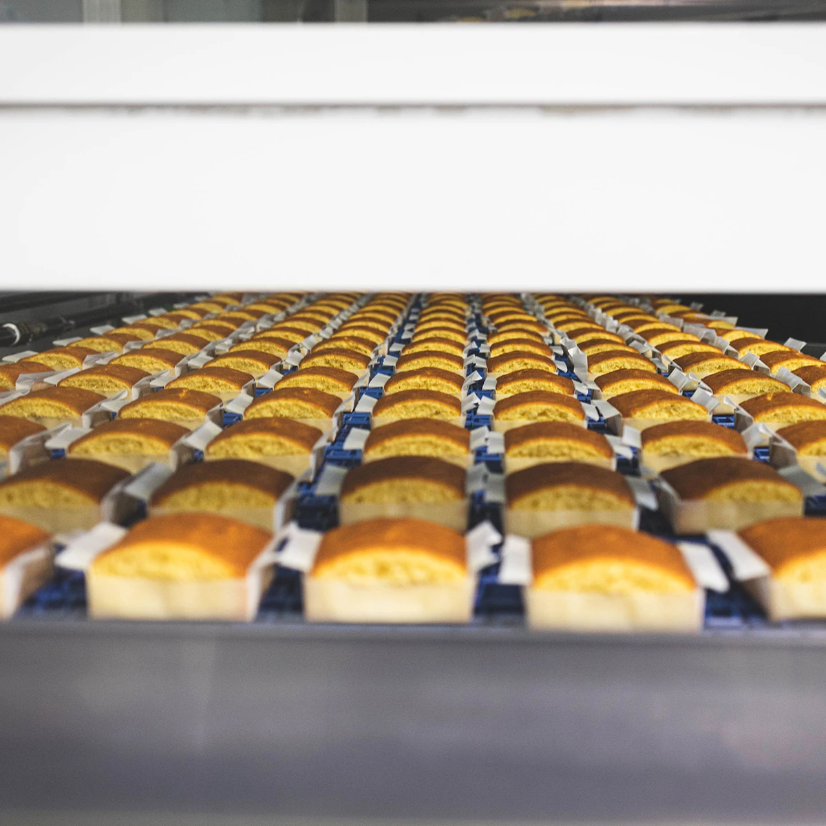 Joselín large passages sobaos – pack of 4 units (575 g) – with margarine, individually wrapped in paraffined paper #5