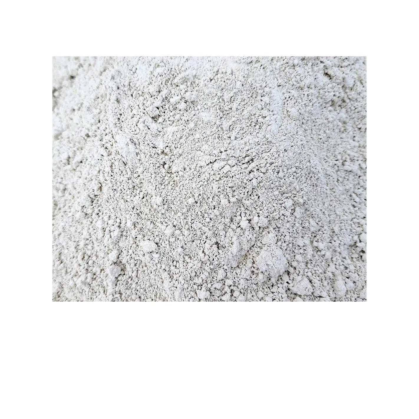 JARDIN202 - Tierra Diatomea Micronizada Natural | Múltiples usos | Tratamiento contra Insectos