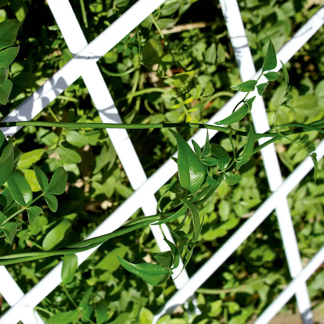 White PVC extendable decorative lattice