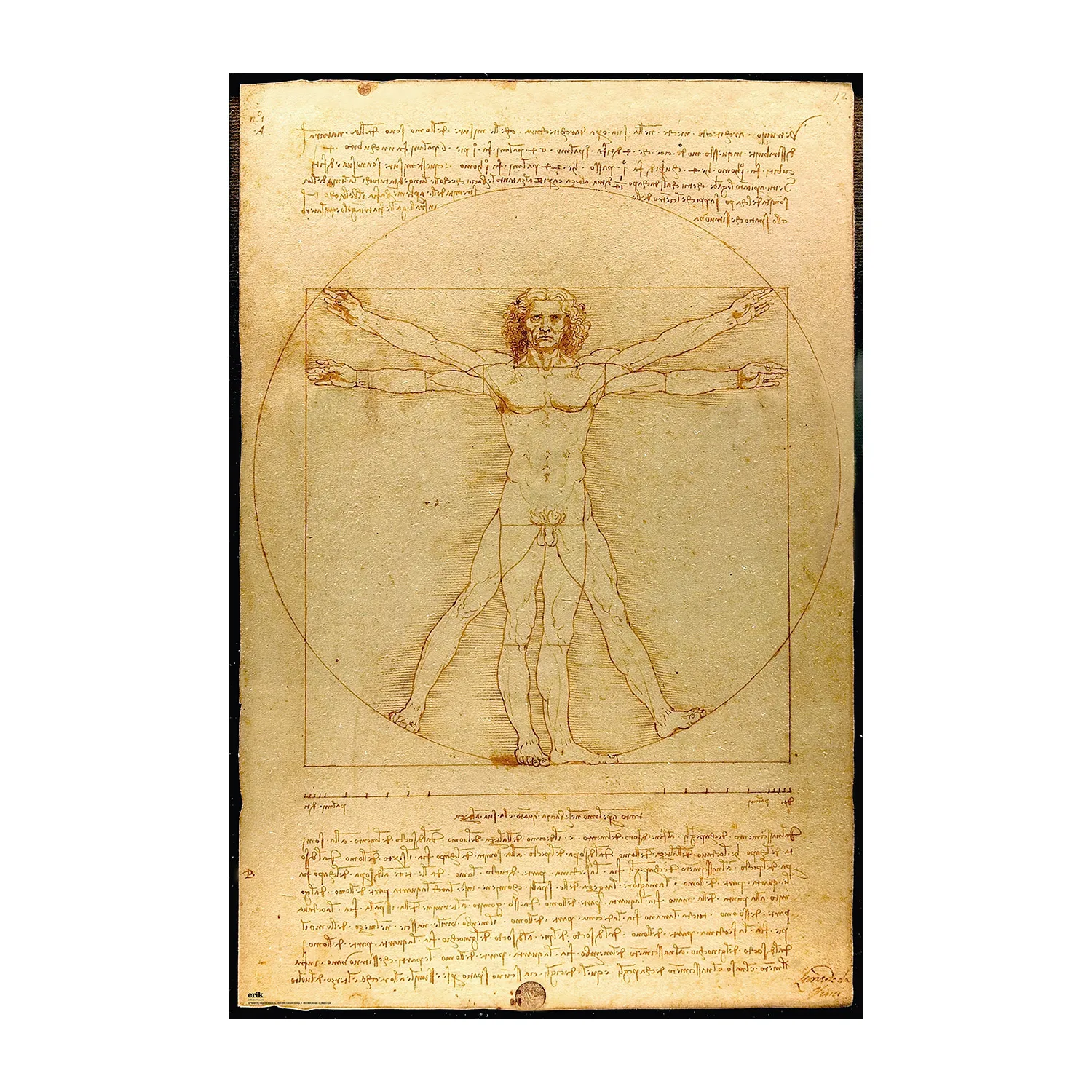 Poster hombre de vitruvio