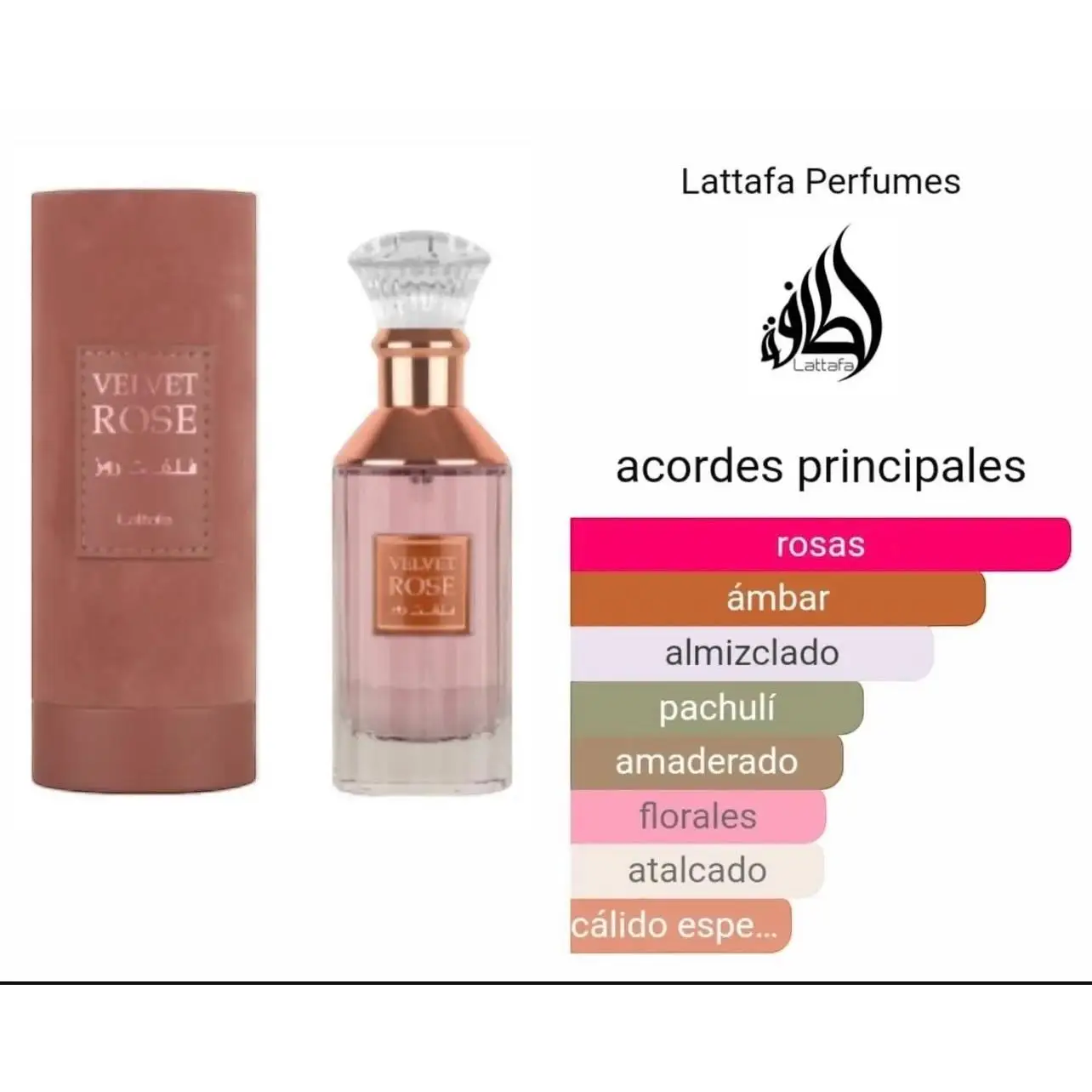Velvet Rose de Lattafa - Eau de Parfum 100ml Original - Fragancia Floral Amaderada para Mujer