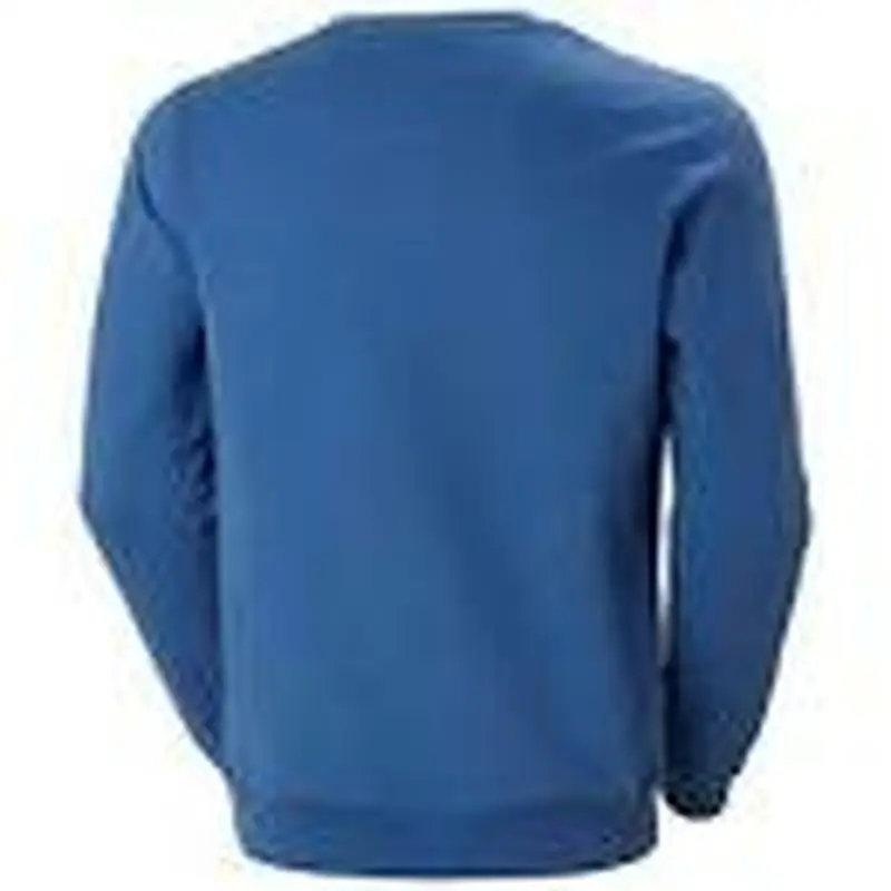 Hooded sweatshirt man HH LOGO Helly Hansen 34000 636 Blue