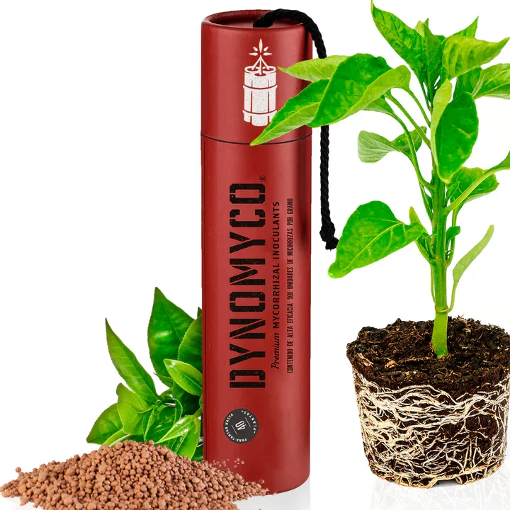Inoculante de micorrizas DYNOMYCO® – Cepas de alto rendimiento – Fórmula concentrada – Mejora la absorción de nutrientes – Aumenta el rendimiento de las plantas 200Gr - Hasta 40 Plantas