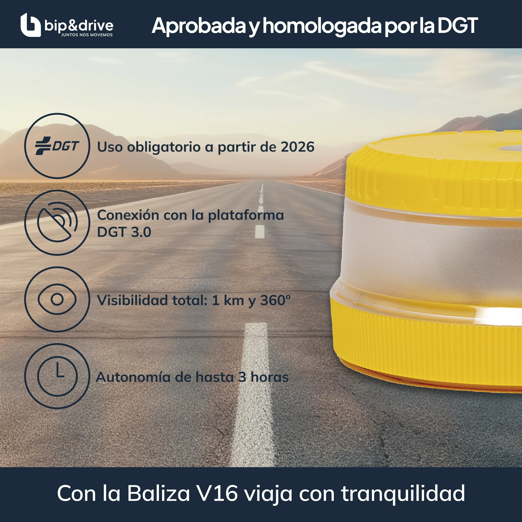 Imagen 7