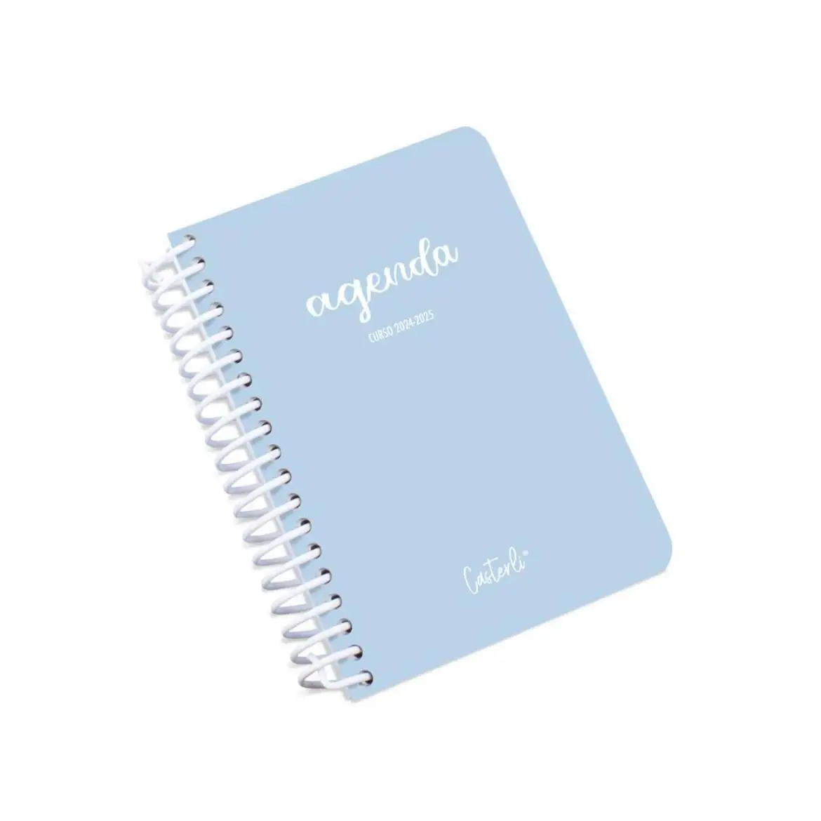 School Agenda 2024-2025-school Agenda from September 2024 to June 2025-size 11x16 cm-cover design days per page plastic sheet cover. 4 colors to choose from. Beautiful stationery