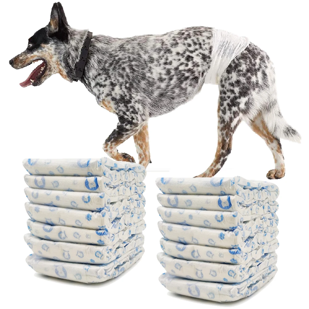 Pañal para Perro Sanitarios Mascotas Desechables Masculino ​Entrenamiento Súper Absorbente Braguita Higiénica 4 Tamaños BPS-2204