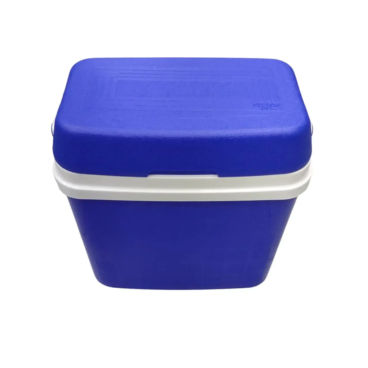 Nevera Portátil 32 L Azul - Amplio Espacio de Almacenamiento