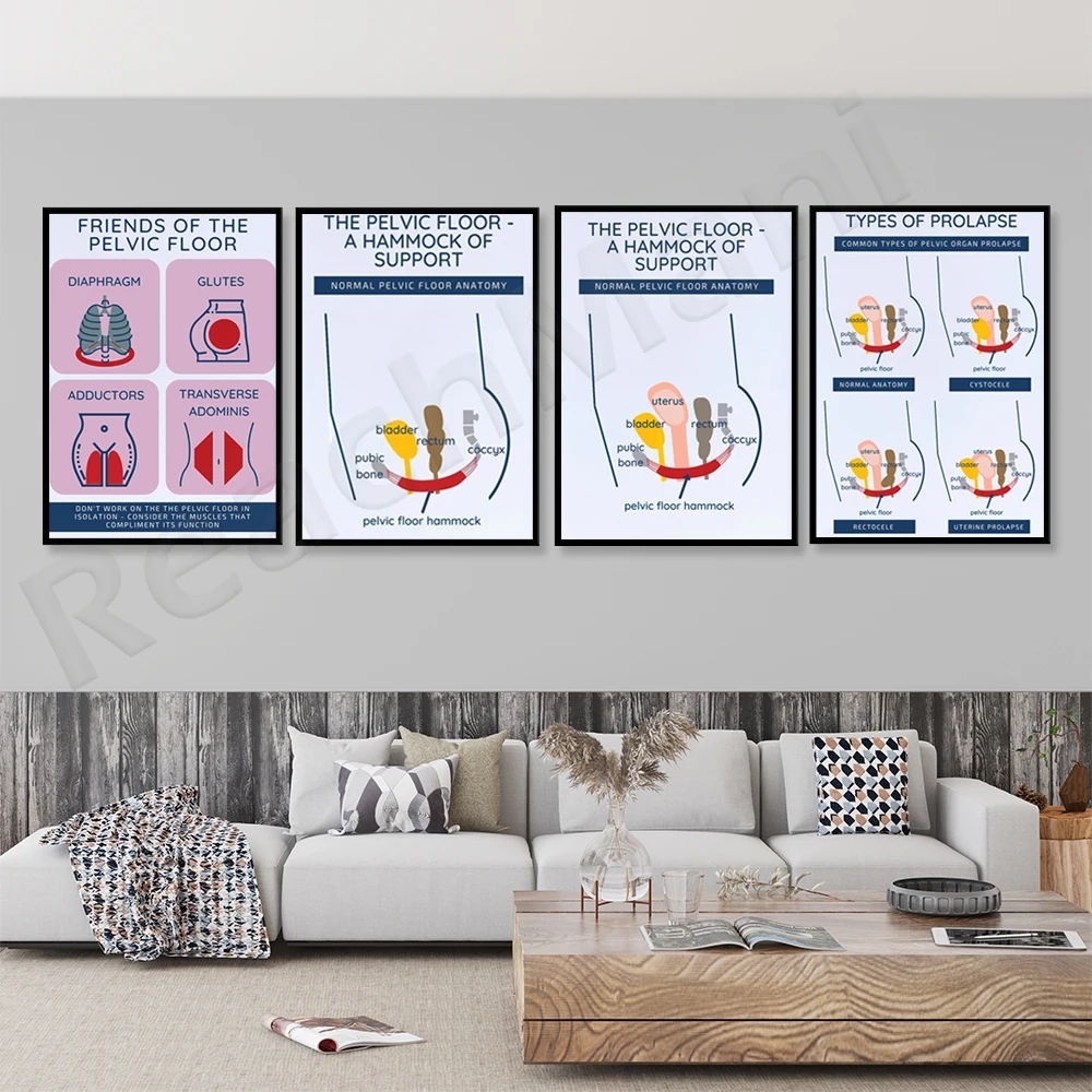 Pelvic floor poster, simple bladder and bowel anatomy, pelvic floor anatomy, pelvic floor art Decorative poster for pelvic floor