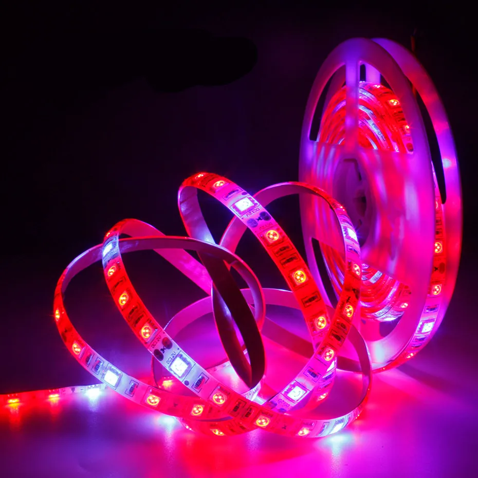 Plant Grow lights 1m 2m 3m 4m 5m Waterproof Full Spectrum LED Strip Flower phyto lamp Red blue 4:1 for Greenhouse Hydroponic