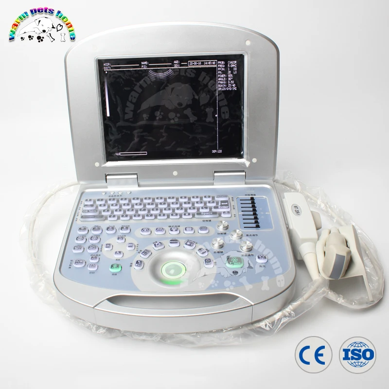 

12 Inch LCD Display screen Portable Notebook Ultrasound 96 Element Equipped with Linear Convex Microconvex Probe