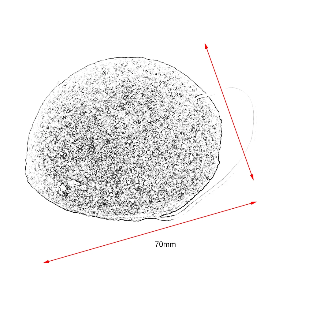 자연 곤약 스폰지 페이셜 케어 클리닝 워싱 스폰지 화이트닝 딥 클렌징 모공 스폰지 스킨 케어 도구