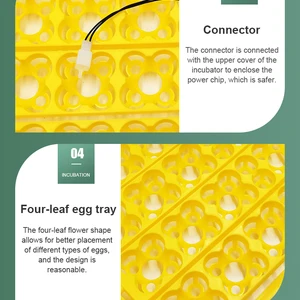 حاضنة البيض الأوتوماتيكية معدات حضانة الدواجن الصينية القابلة للإزالة ، حاضنة السمان ، البط ، 24 بيضة أعلى 6 مبيعات 24 حاضنة بيضة - رقم 4