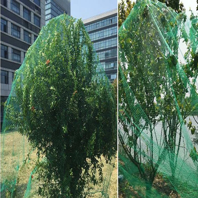 Green black Bird net Potted Protection of Horticultural Net Against Bird net and Fruit tree bird net Garden Protective net