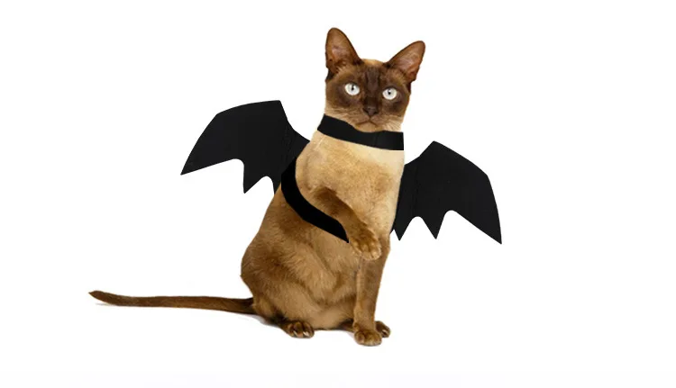 Fledermaus-Kostüm Für Hunde & Katzen – Mit Flügeln, Verstellbar, Für Halloween & Partys