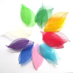 Wholesale 100pcs Multicolor optional Natural skeleton leaves for DIY 014001002
