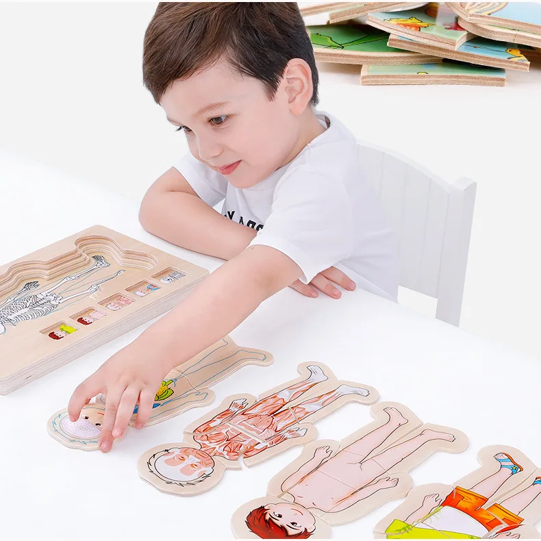 Multi-Layer Wooden Human Body Puzzles Structure Toys Children Early Learning Educational Body Cognition Baby Toys Puzzles