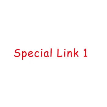 Speciale Link 1