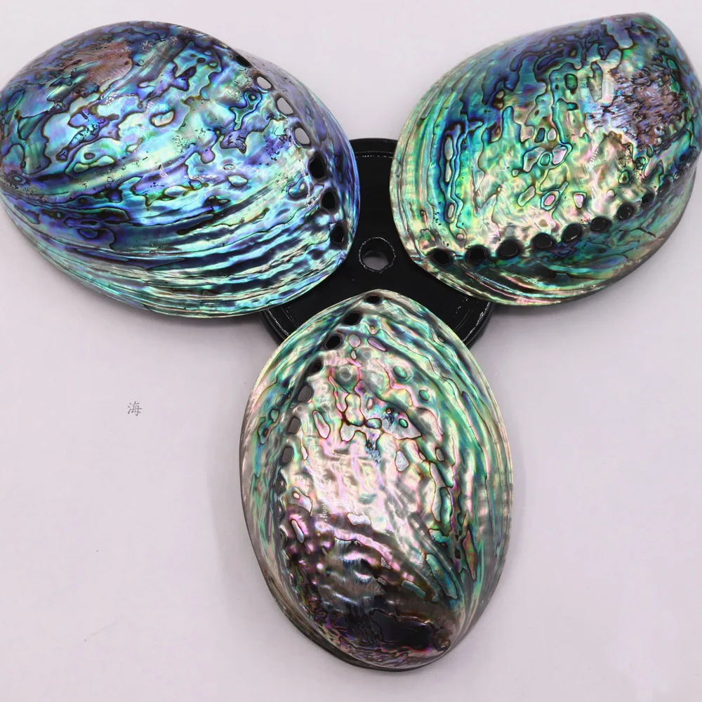 1pcs 13cm size natural blue color Abalone shell for white sage bouquets burn or home decoration