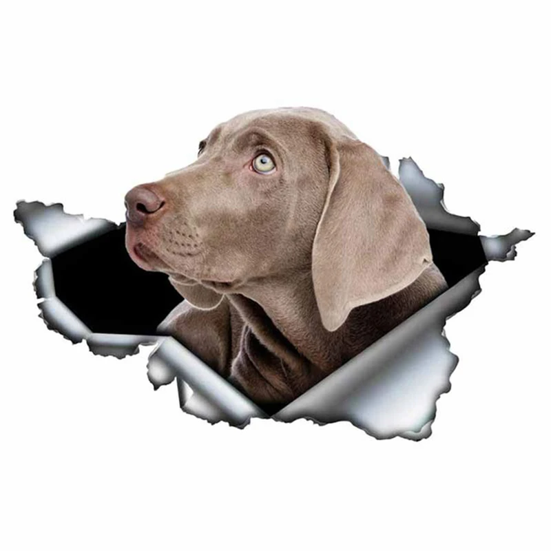 S50078# 13/15/17CM Personality PVC Decal Weimaraner V4 Waterproof Car Sticker on Motorcycle Laptop Decorative Accessories