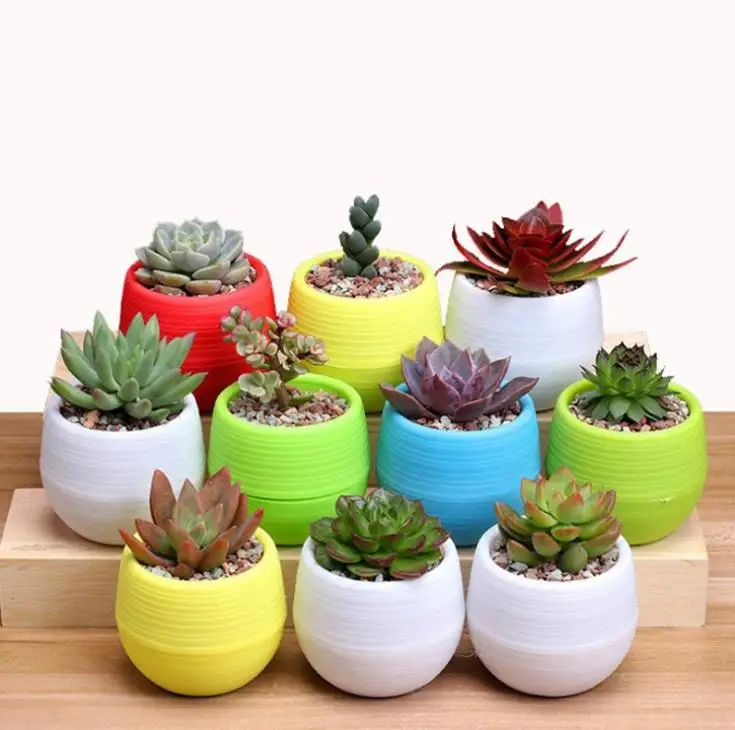 Gardening Flower Pots Small Colorful Nursery Flower Planter Pots Garden Decor Succulent Plant Plastic Pots Home Planters SN280