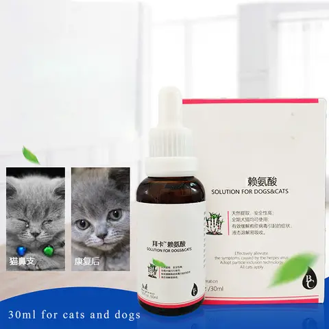 액체 lysine 애완 동물 고양이 개 재채기 물 눈 차가운 콧물 고양이 고양이 고양이 비강 지점 30ml 일반 개와 고양이