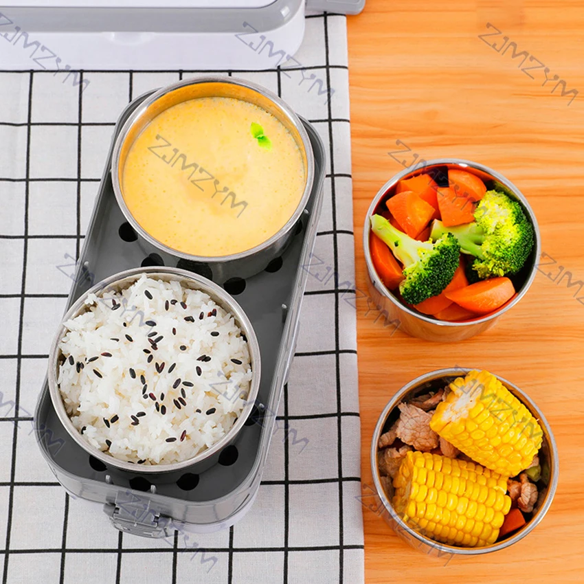 220V Electric Lunch Box Single/Double Layer Portable Food Heating Box Rice Dishes Heater Container Food Warmer Stainless Steel