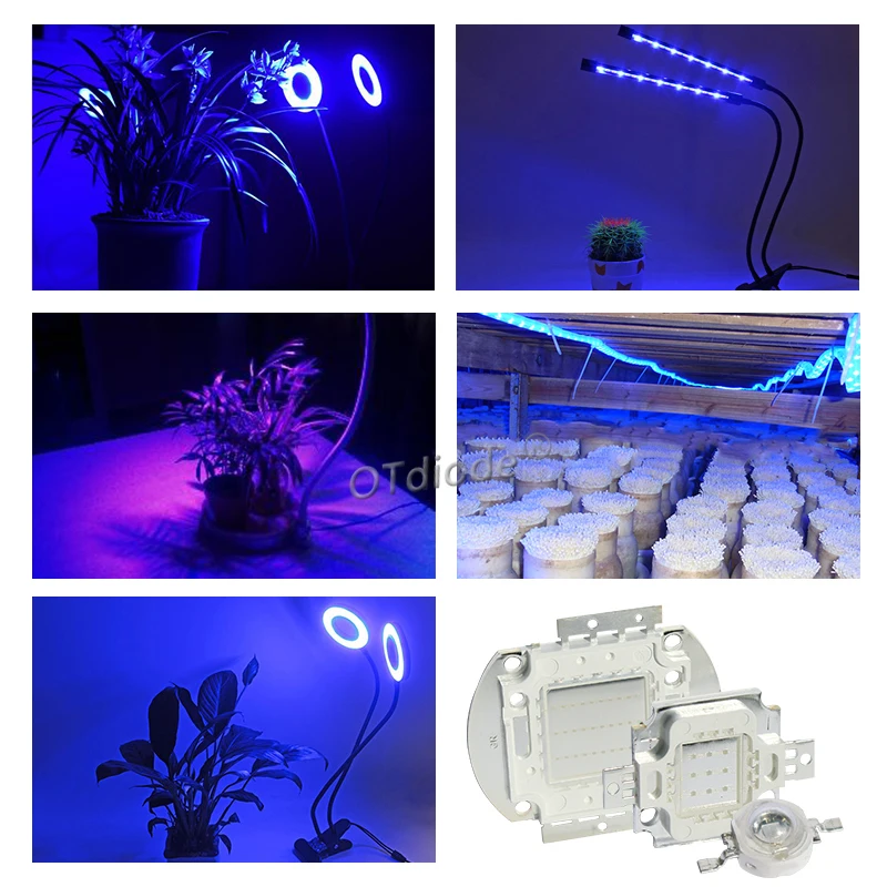 3W 5W 10W 20W 30W 50W 100W Royal Blue LED Grow Chip 440nm 450nm Light Beads Emitter Blub For DIY 10 50 100 Watt Plant Grow Lamp