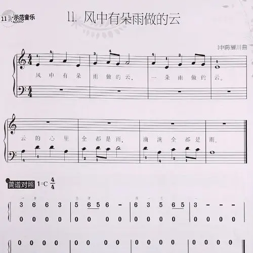 Piano Tutorial for Adults Book in Chinese Piano Self Learning Book For Beginers