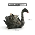 Cisne Negro