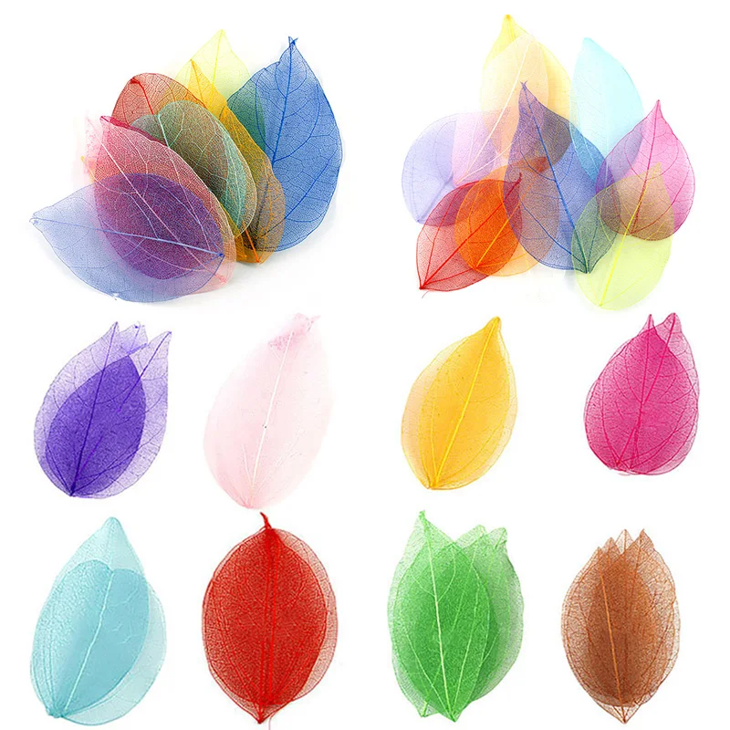 20Pcs/set Bookmarks Natural Skeleton Leaves Pressed Dried Flower for Making DIY Jewelry Home Decoration Handmade Materials