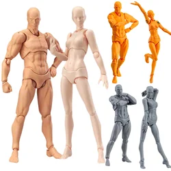 Artist Art Painting Anime Figure Sketch Draw Male Female Movable Body Chan Joint Action Figure Toy Model Draw Mannequin