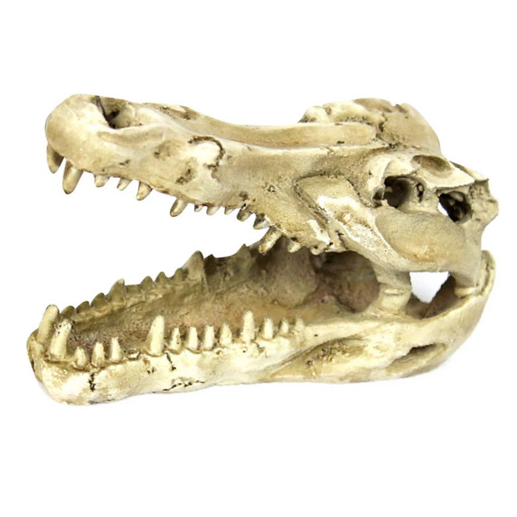 1 Pcs Dragon Resin Aquarium/Terrarium Decoration Crocodile Skull For Fish Tank Resin Ornament Decorate Terrarium DIY Landscaping