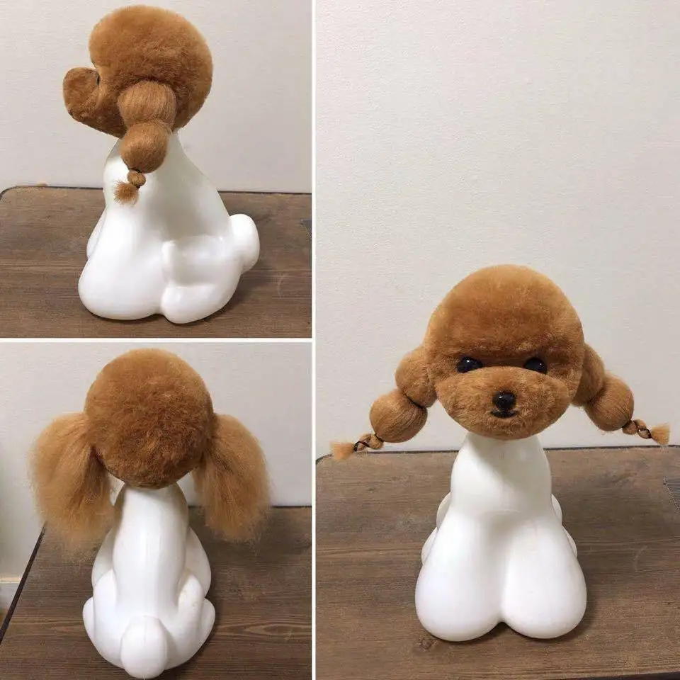 Grooming Model Dog Teddy bear head Mannequin for Pet Goomers trimming practice / 1Teddy head with  1head wig