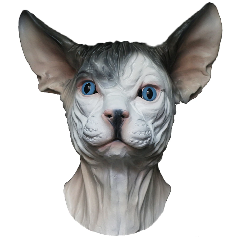 Halloween Costume C… - image